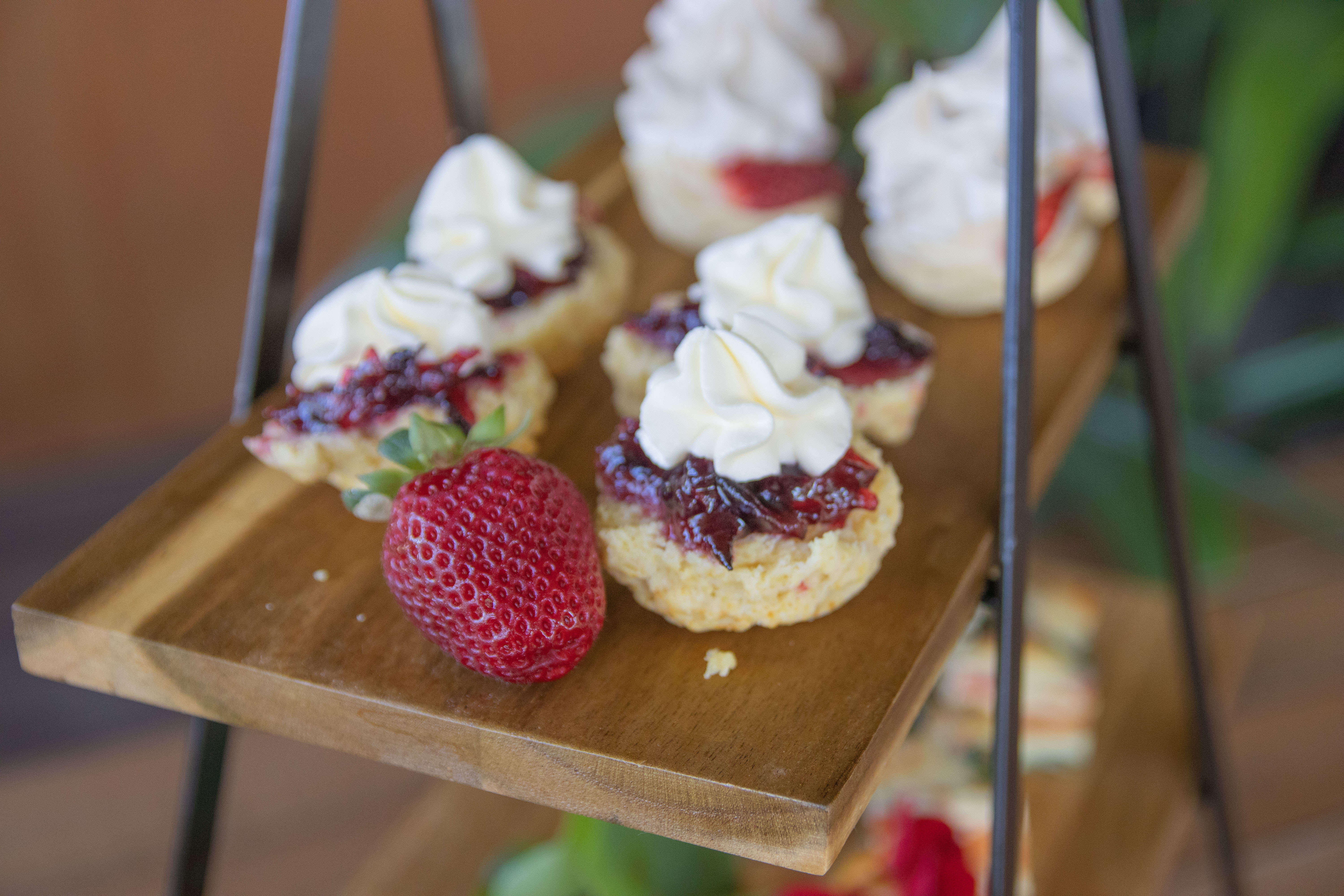 Morning Tea, High Tea or Lunches & Group Tours at 'Our Backyard'